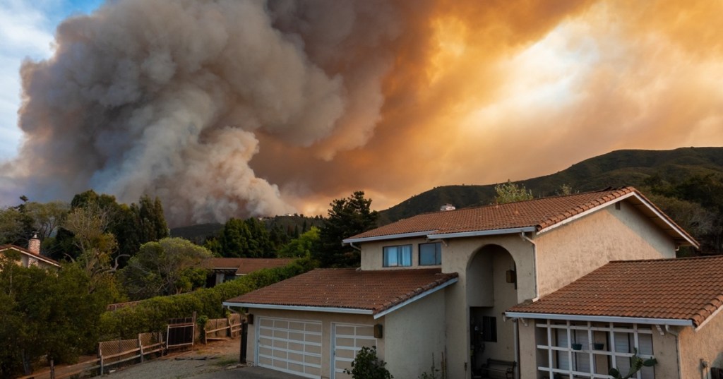 wildfire recovery tips