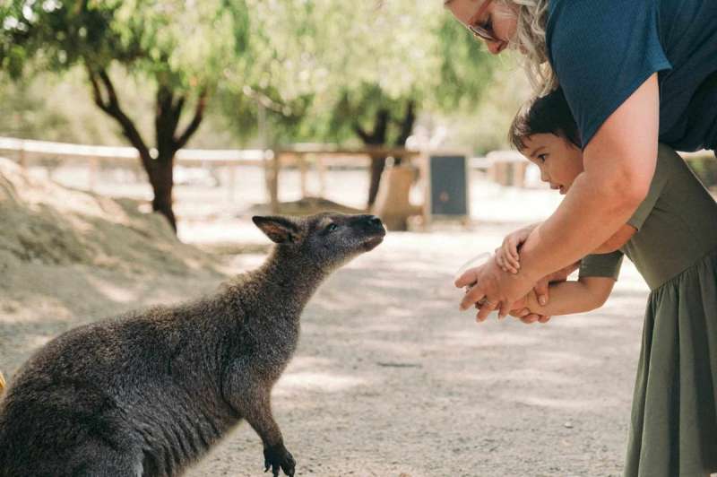 A child and parent feed a kangaroo, which is included in our list of exotic animals you can legally own in Colorado