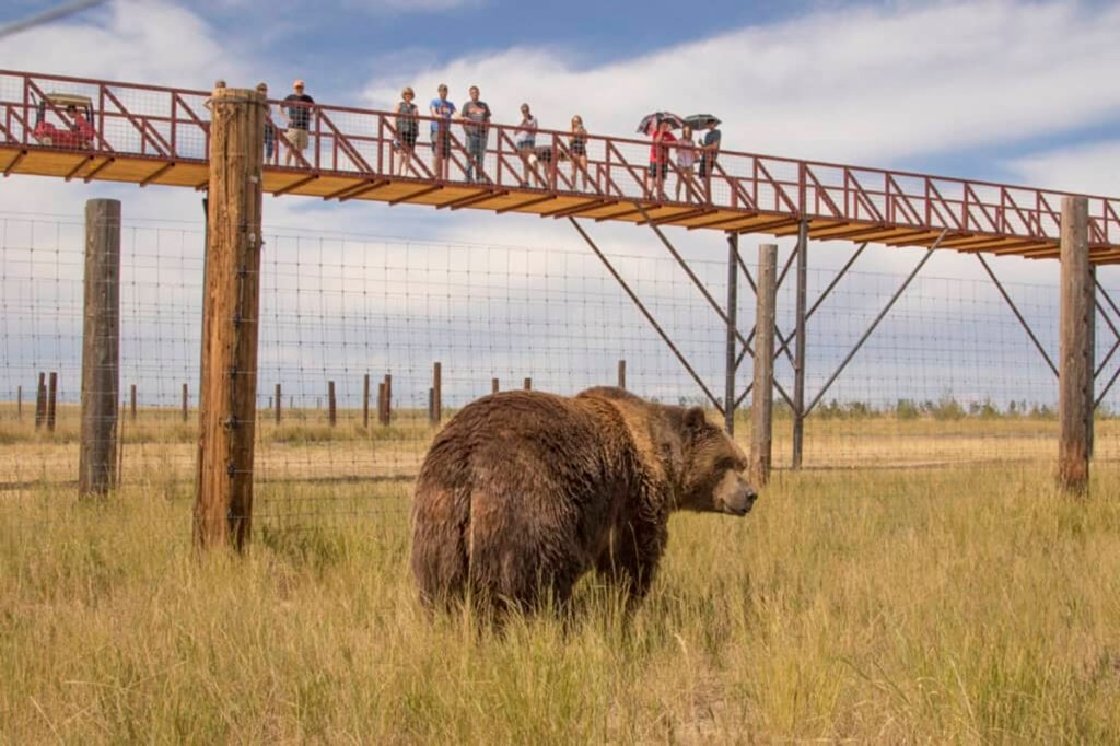wild animal sanctuary