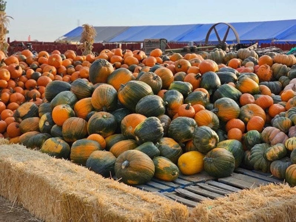 Weld County
